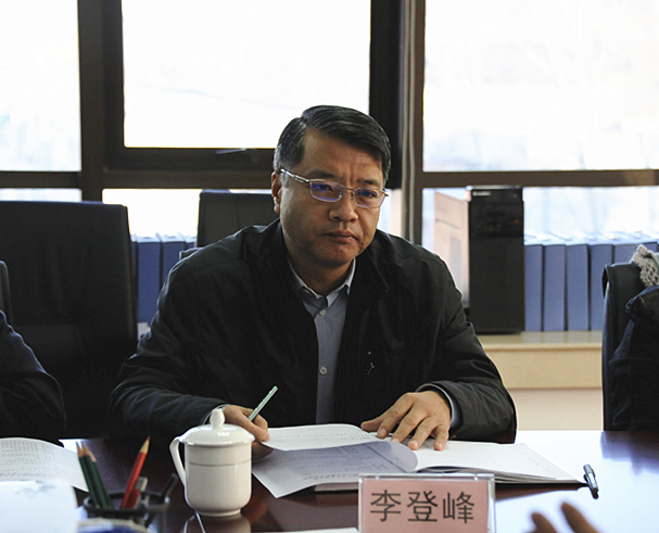 李登峰作点评发言